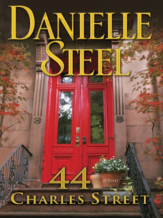 44 Charles Street, Danielle Steel