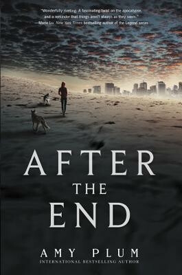 After The End, Amy Plum