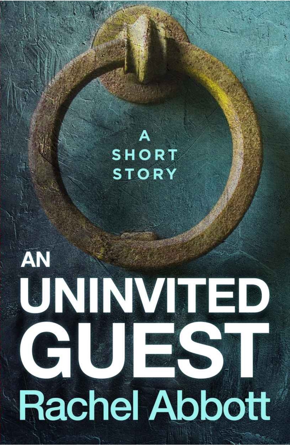 An Uninvited Guest, Rachel Abbott