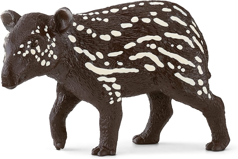 tapir